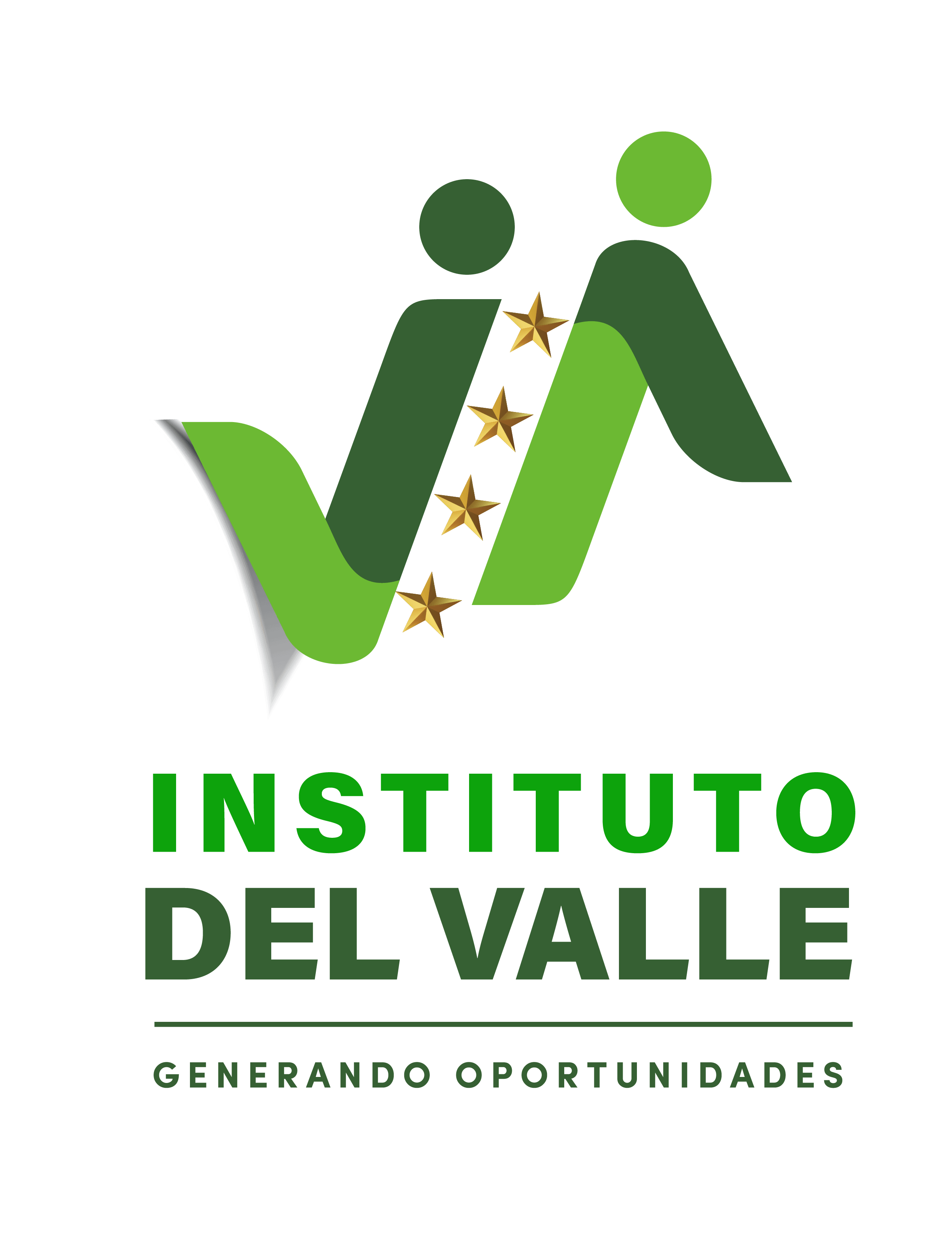 INSTITUTO DEL VALLE FODES