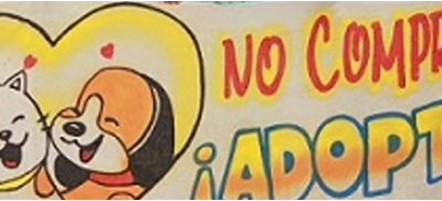 1ER FORO Y CHARLA CROQUETÓN APATZINGÁN 2O22